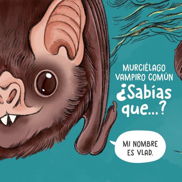 He entregat el meu projecte final @academia.illustraciencia, IlustraInfantil!

Han estat unes setmanes intenses entre la feina i aquesta formació, on he après moltíssim juntament amb els meus companys i @isaloureiro_arteyciencia 

Aquest és en Vlad, i ens explica algunes coses sobre la seva vida de Vampir Comú a Mariato. Descobreix més sobre la biodiversitat de Mariato, Panamà a ecostoriespanama.com 

¡He entregado mi proyecto final de Ilustraciencia, IlustraInfantil!

Han sido unas semanas intensas entre el trabajo y esta formación, donde he aprendido muchísimo junto a mis compañeros e Isa.

Este es Vlad, y nos cuenta algunas cositas sobre su vida de Murciélago Vampiro Común en Mariato. Descubre más sobre la biodiversidad de Mariato, Panamá en ecostoriespanama.com 
 
#ilustraciencia #ilustrainfantil #mariato #biodiversidad #murcielagovampirocomún #ecostoriespanama #vampircomu #ilustracuentos #ecocuentos #mariato #panama #ecostoriespanama #ilustracionnaturalista #ilustracióncientífica